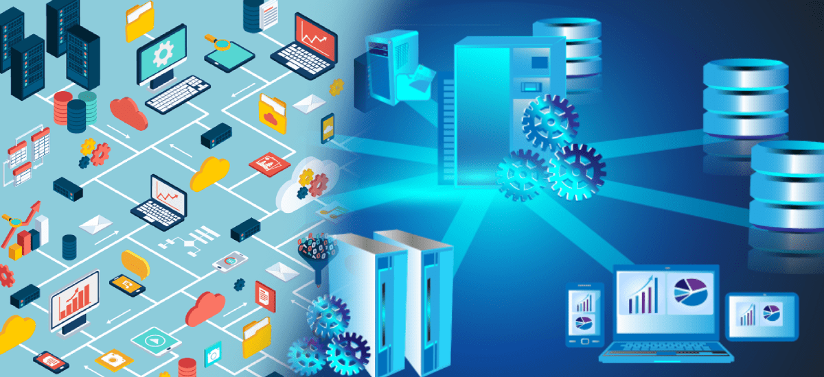 Database Management System